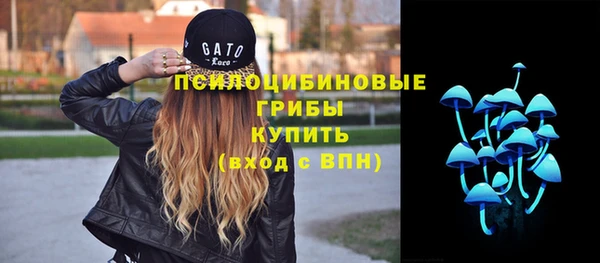 ALPHA PVP Гусиноозёрск