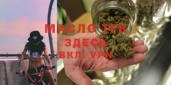 стаф Дмитров