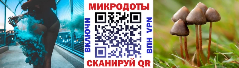 Купить закладки Катав-Ивановск Псилоцибиновые грибы GOLDEN TEACHER